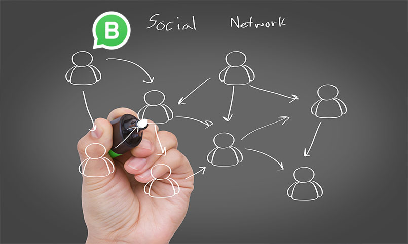 Whatsapp Business